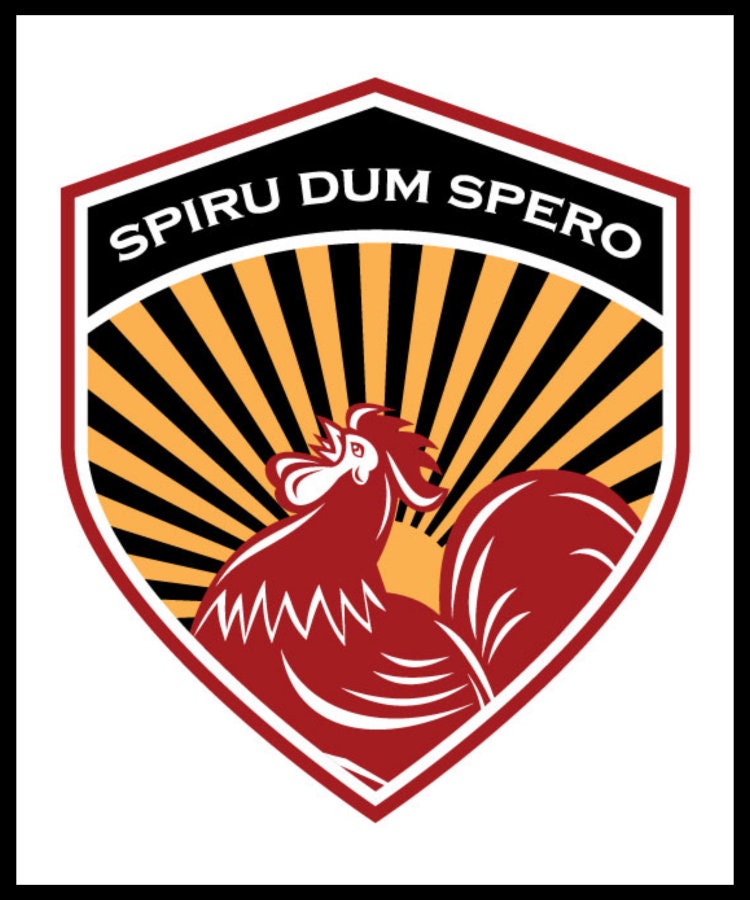 SPERO EMF Silver Clothing Detergent